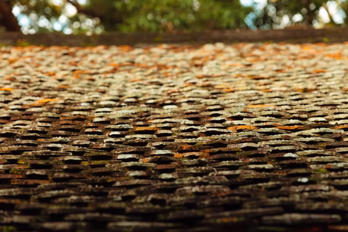 Aging shingle roof with moss growth and granule loss in Newark, OH